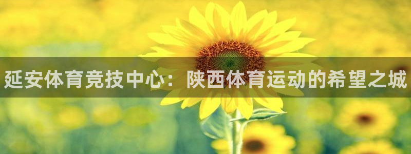 oety欧亿体育官网下载平台:延安体育竞技中心:陕西体育运动