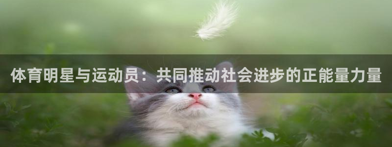 oety欧亿体育官网下载招商电话是多少:体育明星与运动员:共